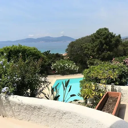Sampiero, Sur Mer, Piscine Et A Pieds Willa *